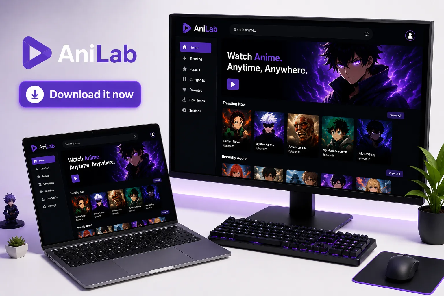 PC setup for AniLab anime streaming